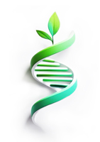 Aileen Burford-Mason, PhD